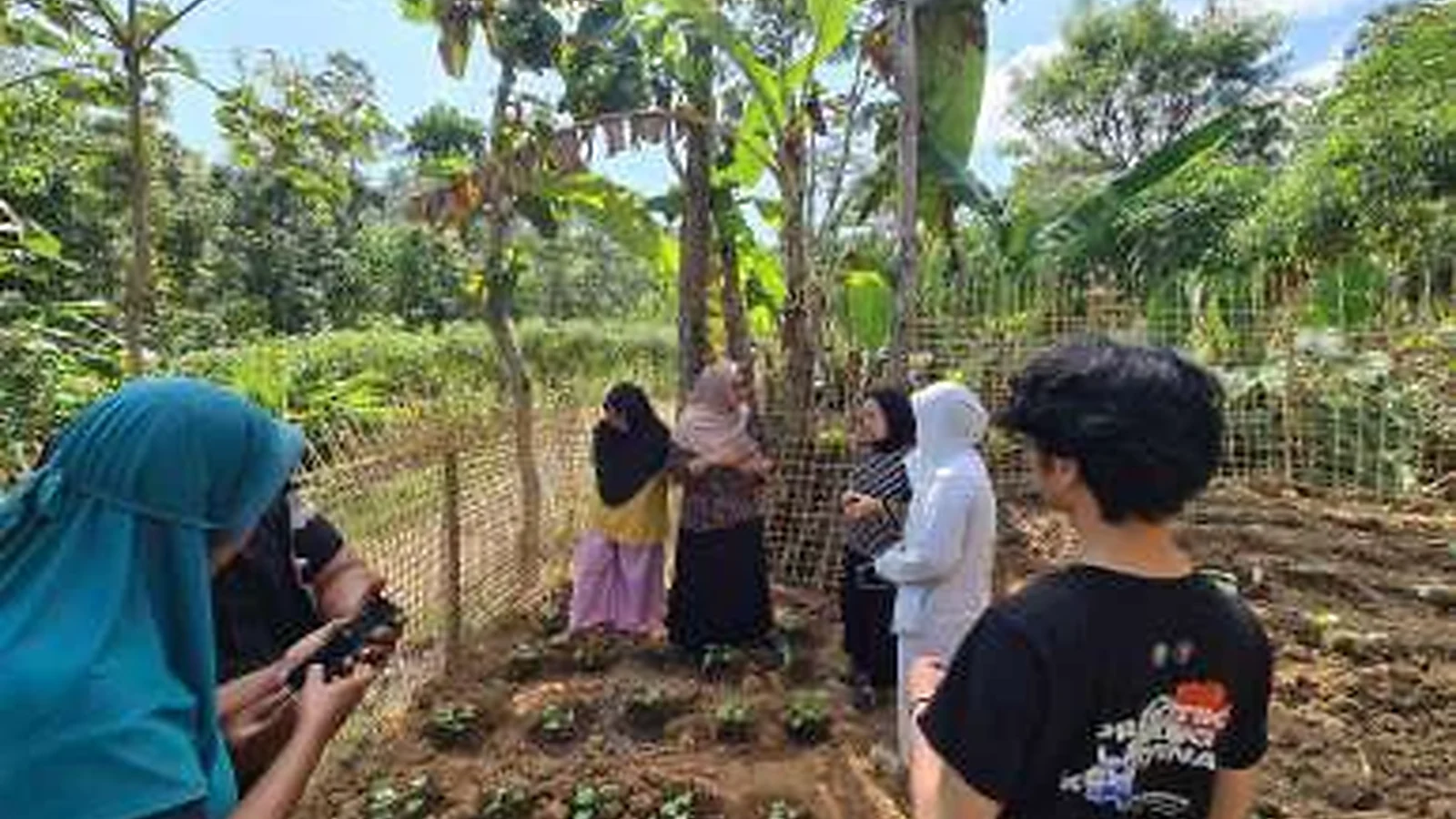 Kegiatan pertanian Desa Temboro