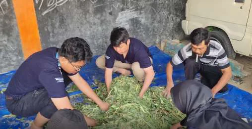 Pembuatan silase bersama di balai desa — foto 2
